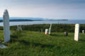 Newfoundland