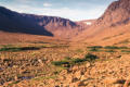 Newfoundland