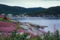 Newfoundland