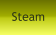 Steam
